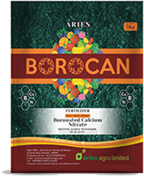Borocan - Graphic Design (380x380), Png Download