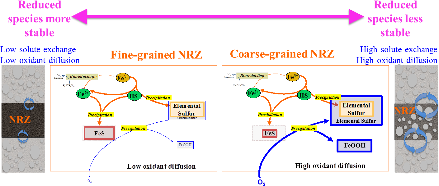 Noël V, Boye K, Kukkadapu Rk, Bone Se, Lezama Pacheco - Diagram (1439x626), Png Download