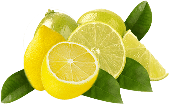 It Has Anti Fungal And Anti Septic Properties, Which - Persian Lime (600x400), Png Download
