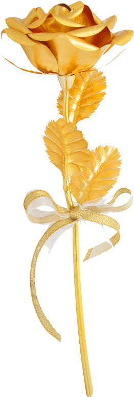 Golden Rose - Gold Rose Png (800x800), Png Download