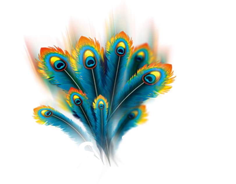 Krishanpreet Com Logo - Peacock Feather Png (1000x1000), Png Download