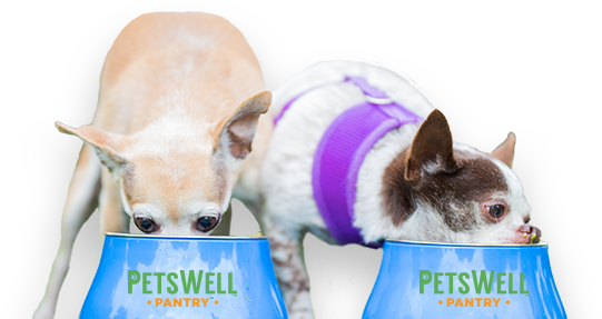 Dogs Eating Food - Food (541x287), Png Download