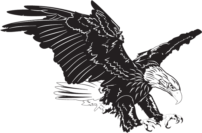 Liberty Elementary School - Liberty Eagle (674x516), Png Download