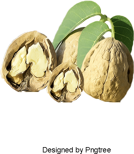 Nuts Walnut, Dried Fruit Snacks, Walnut, Nut Png And - Nut (800x800), Png Download