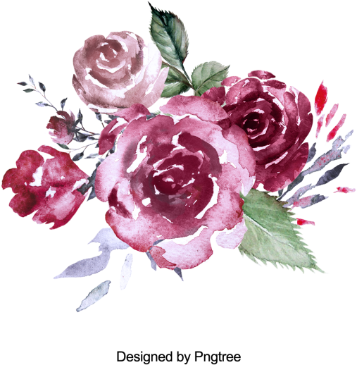 Beautiful Hand Paint Watercolor Rose Flower, Flower, - Hoa Hồng Vẽ Màu Nước (640x640), Png Download