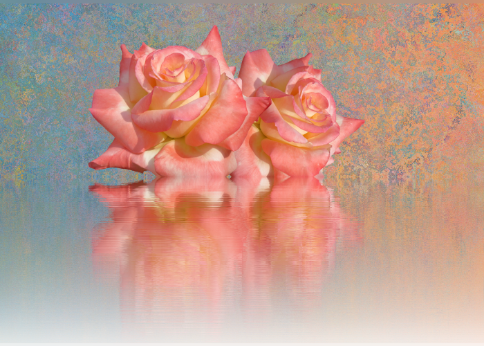Color Palette Ideas From Flower Garden Roses Pink Image - Cafepress ! Samsung Galaxy S8 Plus Case (700x500), Png Download