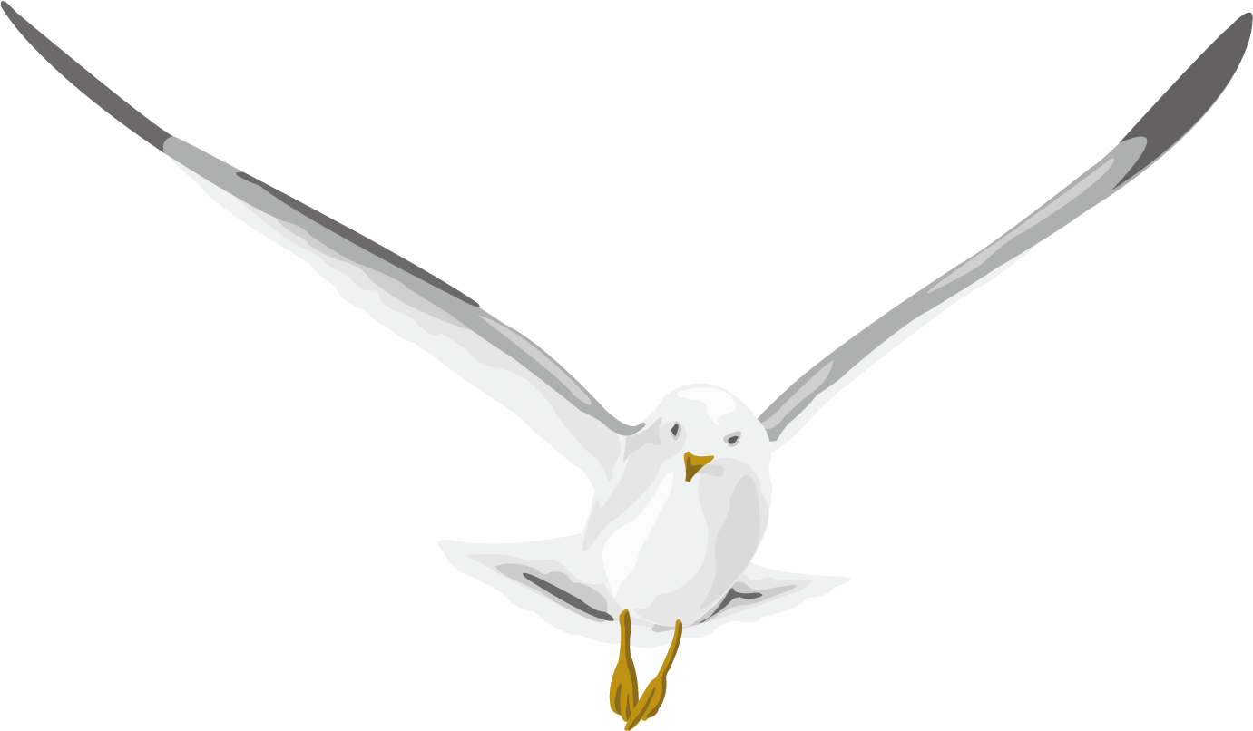 Pigeon Png - Typical Pigeons (1500x1500), Png Download