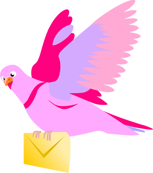 Carrier Vector Graphics - Pigeon Clip Art (500x564), Png Download