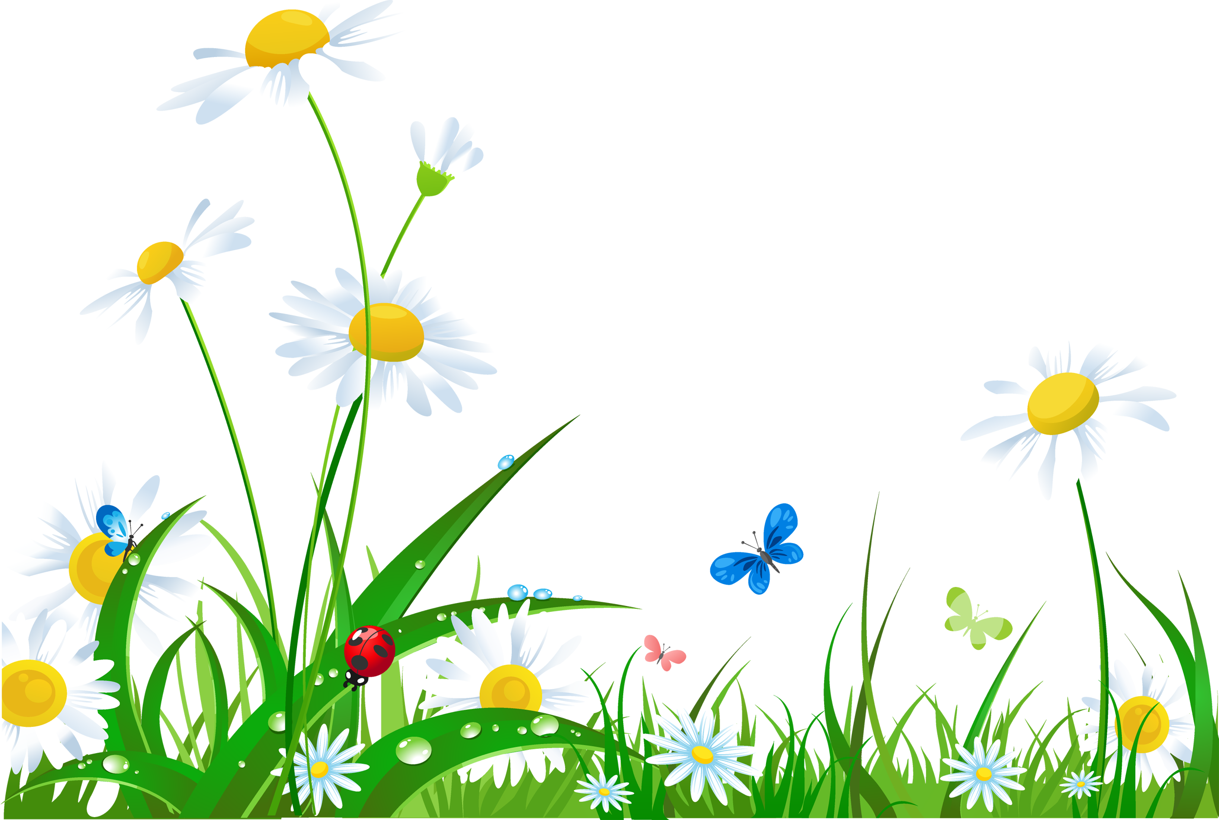 28 Collection Of Nature Background Clipart Png High - Lady Bugs Double Street Pole Banner 30 In X 96 In V (2500x1682), Png Download