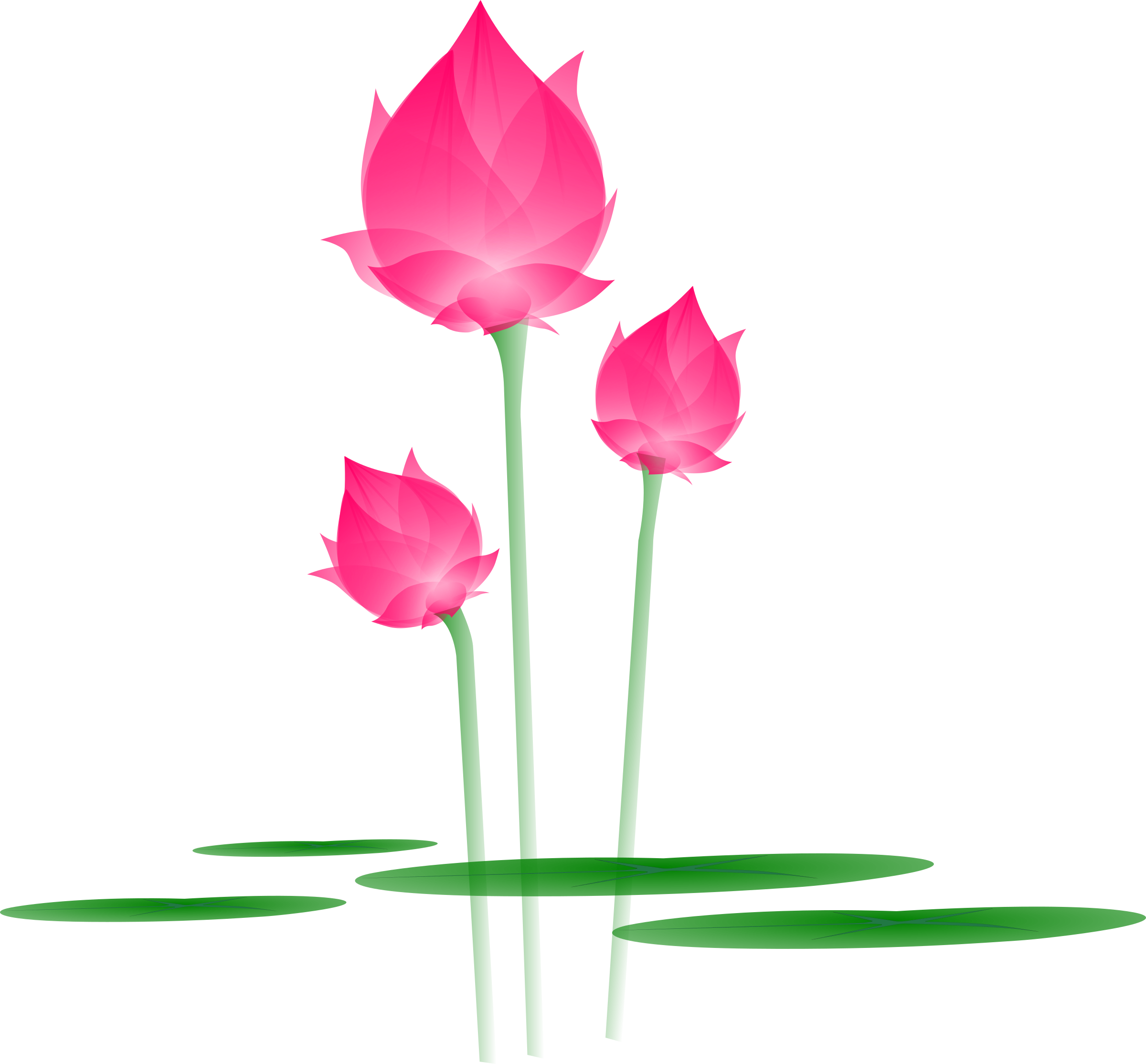 Free Download Catoon Lotus Bud Png Clipart Sacred Lotus (2400x2228), Png Download