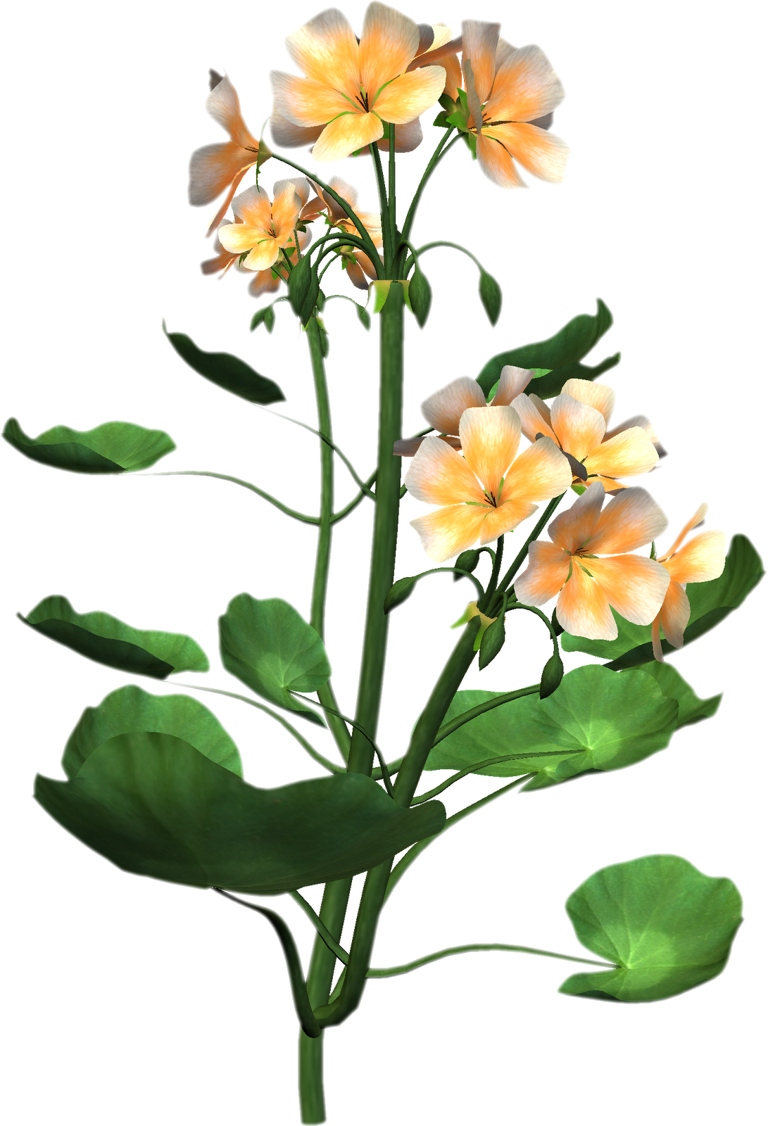Plant Png - Flower For Embroidery Design (1091x1600), Png Download