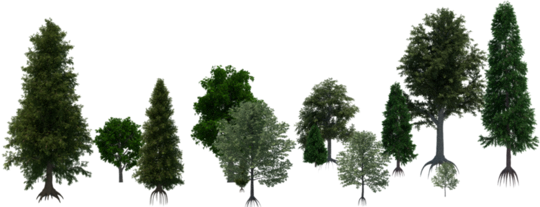 They're Also Very Easy To Import In Any Of Your Projects - Terrain Texture Tree (800x300), Png Download