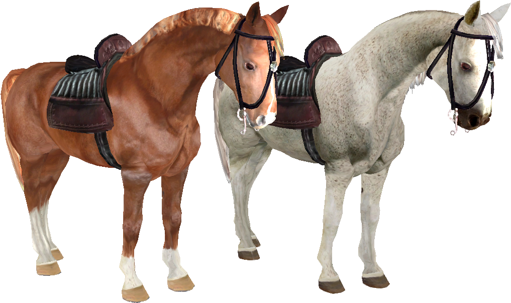Author Images - Horse (1063x666), Png Download
