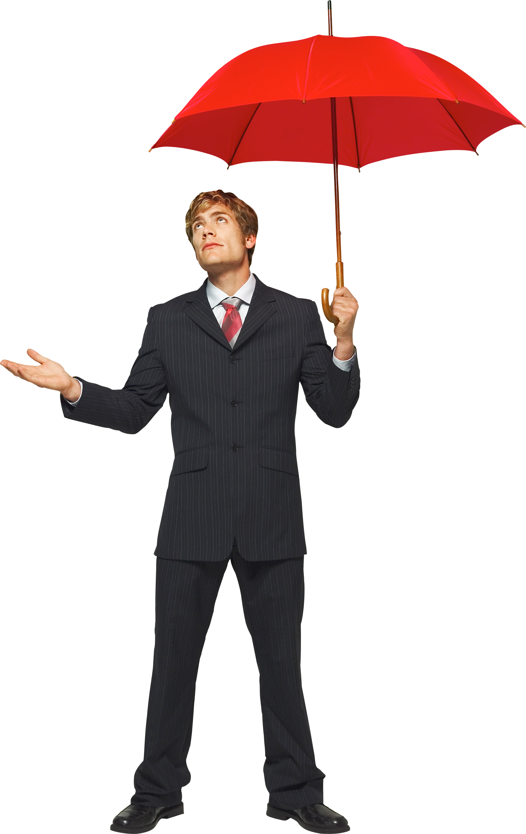 Businessman Png Image - Business Man Png (2212x3507), Png Download