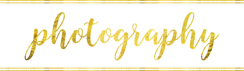 Asset 27@4x - Asset (1000x291), Png Download