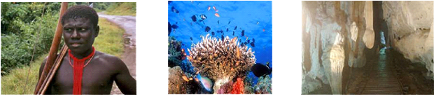 Andaman Island Tour - Great Barrier Reef Coral (620x200), Png Download