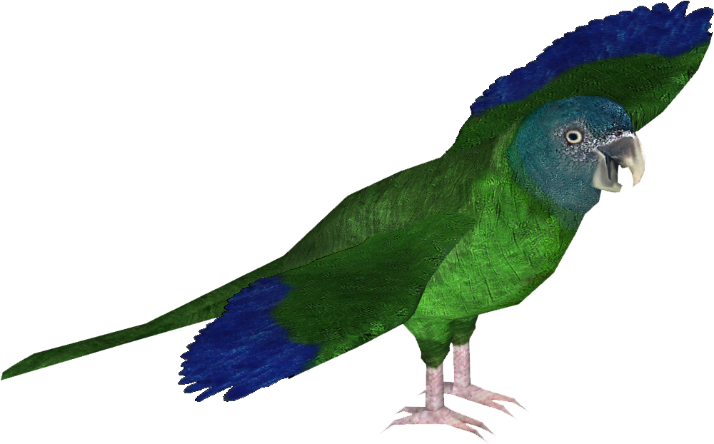 Blue-headed Macaw - Zt2 Macaw (999x999), Png Download