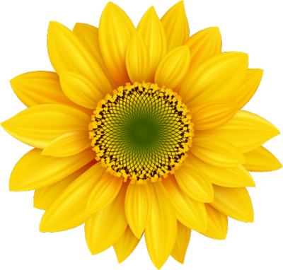 17 Psd Flower Images - Yellow Daisy (400x382), Png Download