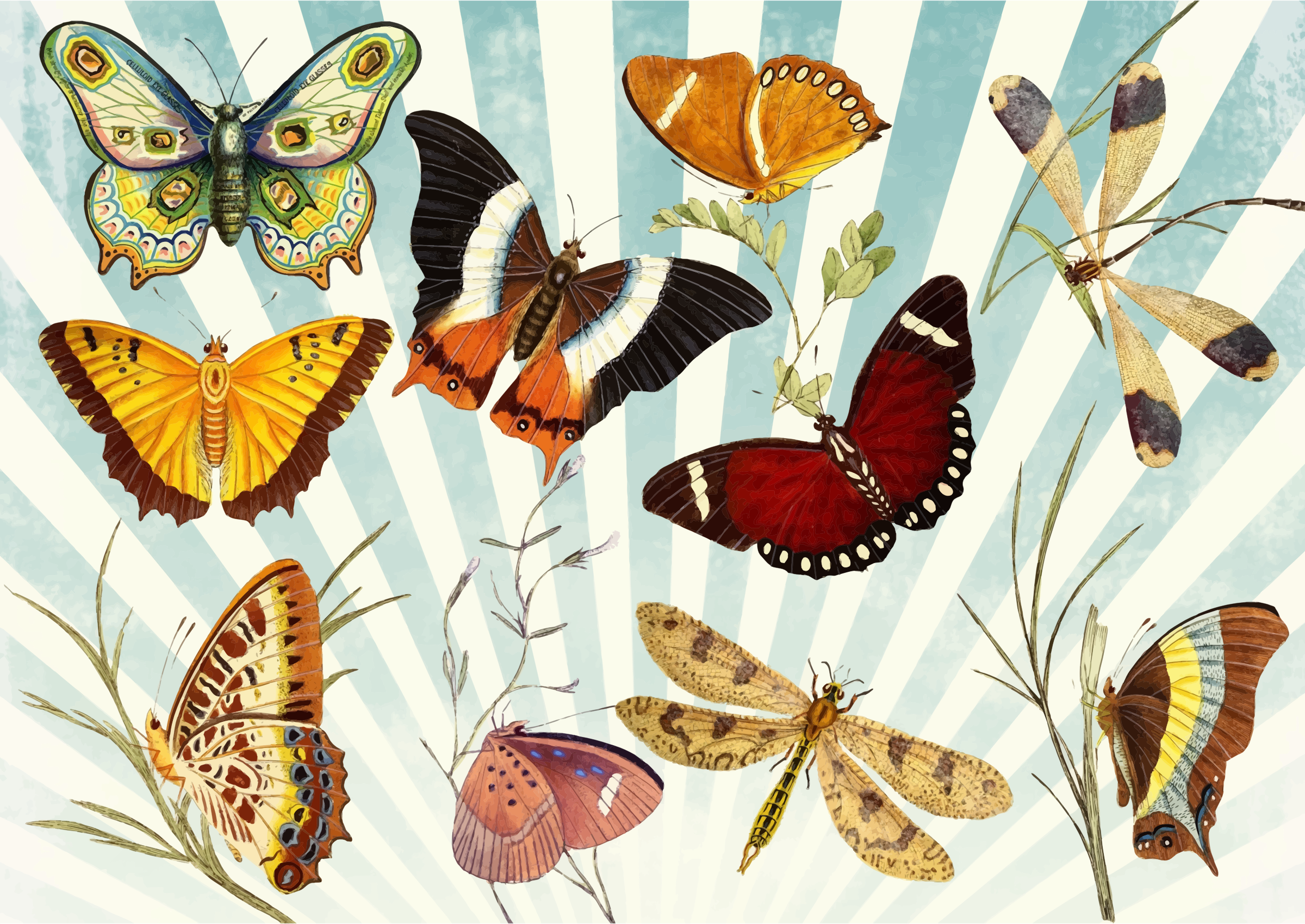 This Free Icons Png Design Of Butterflies And Dragonflies (2400x1700), Png Download