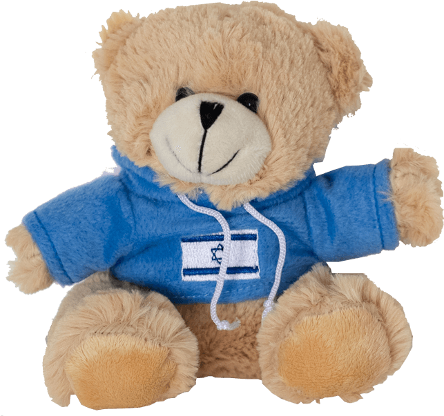 Endearing Fluffy Brown Teddy Bear Wearing A Blue Shirt - Israel (650x650), Png Download