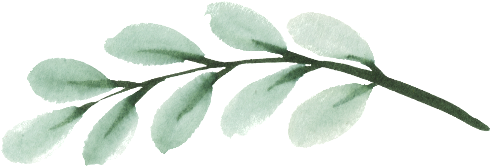 Este Gráficos Es Leaf Vector Sobre Watercolor, Elegance, - Sd Home (1024x374), Png Download