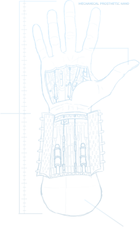 Limbs - Skeleton - Organs - Systems - Senses - Intelligence - Sketch (278x449), Png Download