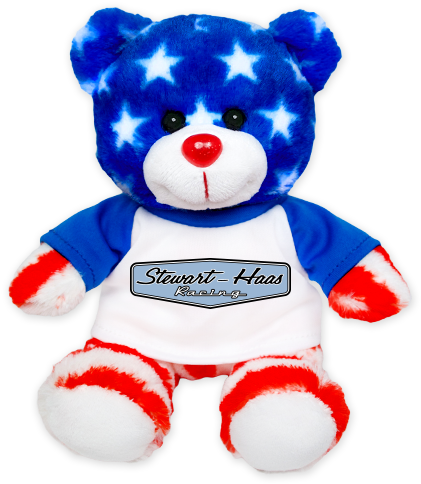 Shr Stars N' Stripes Teddy - Teddy Bear (600x600), Png Download