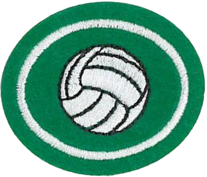 File - Volleyball - Barcelona (727x621), Png Download
