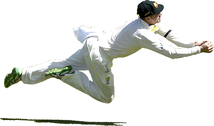 Dcc Was Officially Formed In - Cricket Transparent (683x404), Png Download