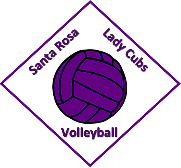 Lady Cub Volleyball - Volleyball (631x588), Png Download