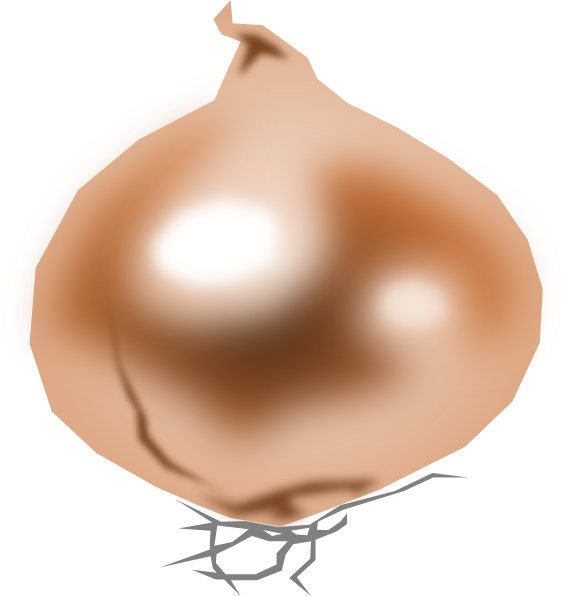 Onion Png - Cebola Com Fundo Transparente (564x596), Png Download