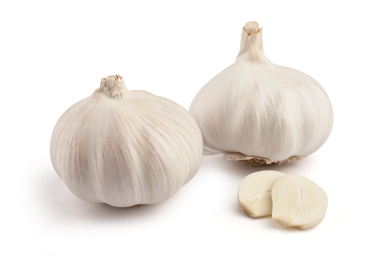 White Onion Png - Garlic (1200x823), Png Download