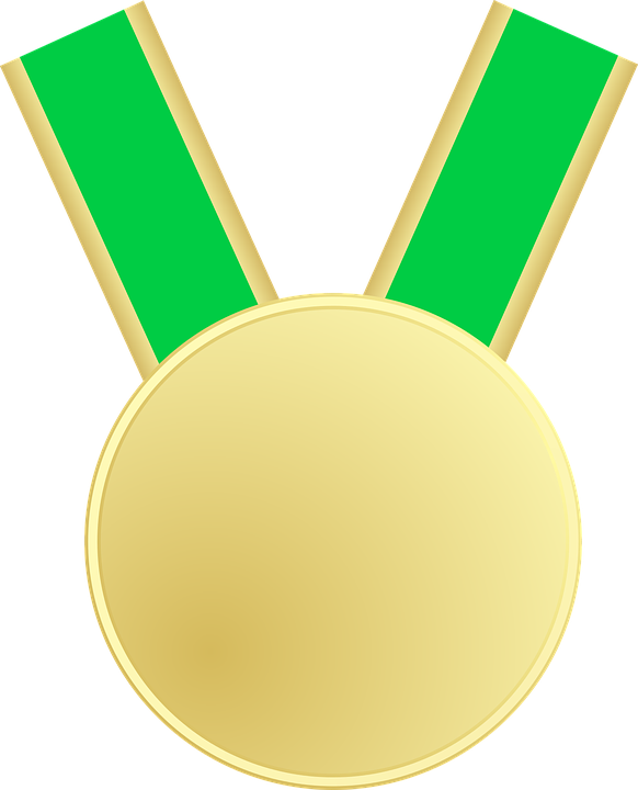 Gold Medal Png - Green Medal (582x720), Png Download