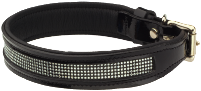 Teck Dog - Strap (461x461), Png Download