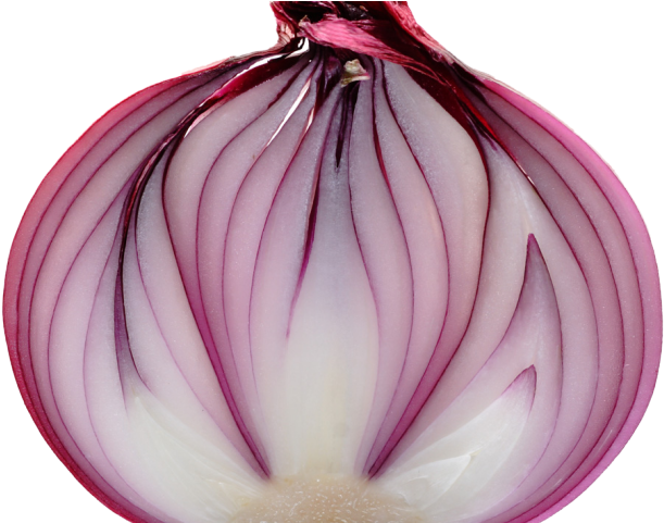 Onion Png Transparent Images - Red Onion Slice (640x480), Png Download