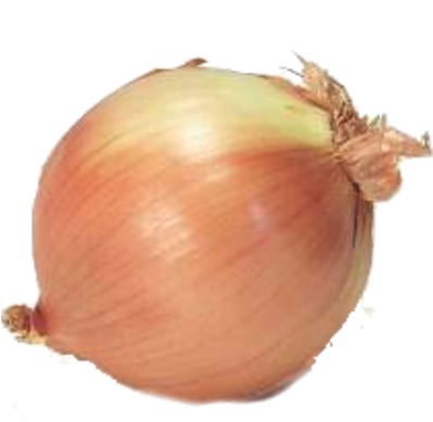 Onion Png Psd Detail - Onion Psd (398x400), Png Download