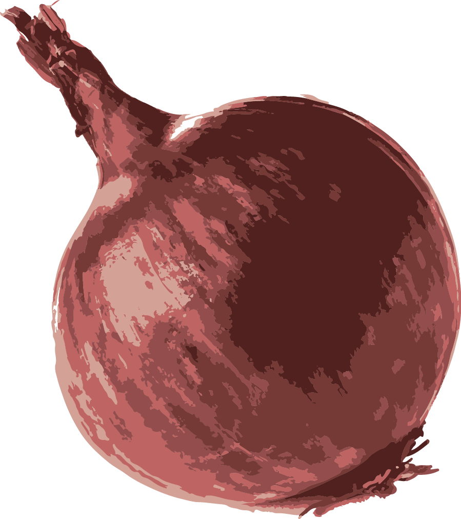 Onion (899x1011), Png Download