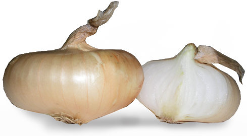 Cipollini Onions - Shallot (489x270), Png Download