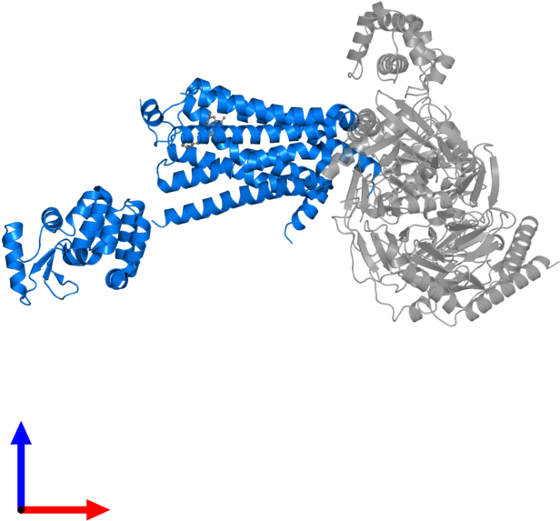 <div Class='caption-body'>pdb Entry 3sn6 Contains 1 - Protein Data Bank (800x800), Png Download