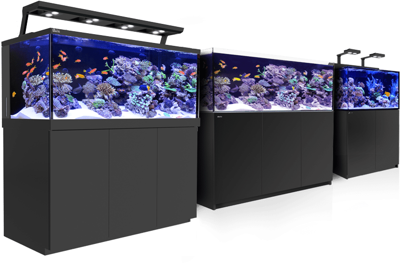 Sign Up To Join Our Red Sea Internet Community - Red Sea Reefer 450 Aquarium (black) (849x600), Png Download