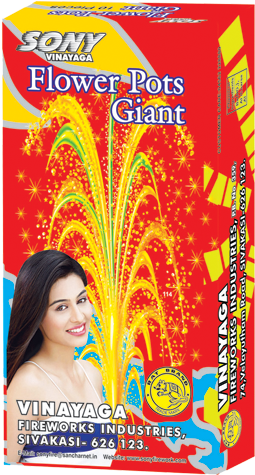 Flower Pots Giant - Sony Crackers (490x490), Png Download