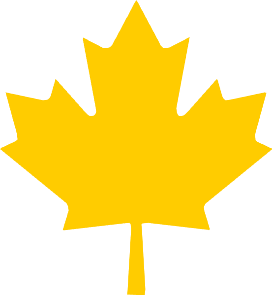 Ml Maple Leaf - Maple Leaf Transparent Png (553x599), Png Download