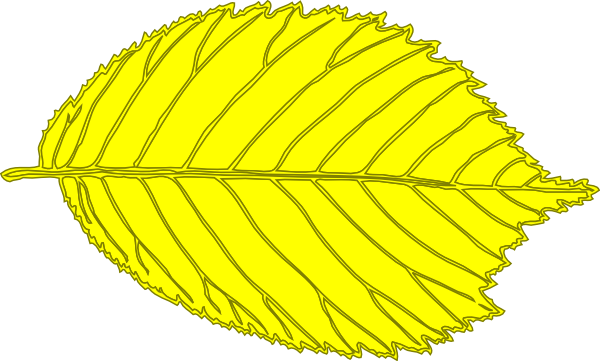 Clip Art (600x361), Png Download
