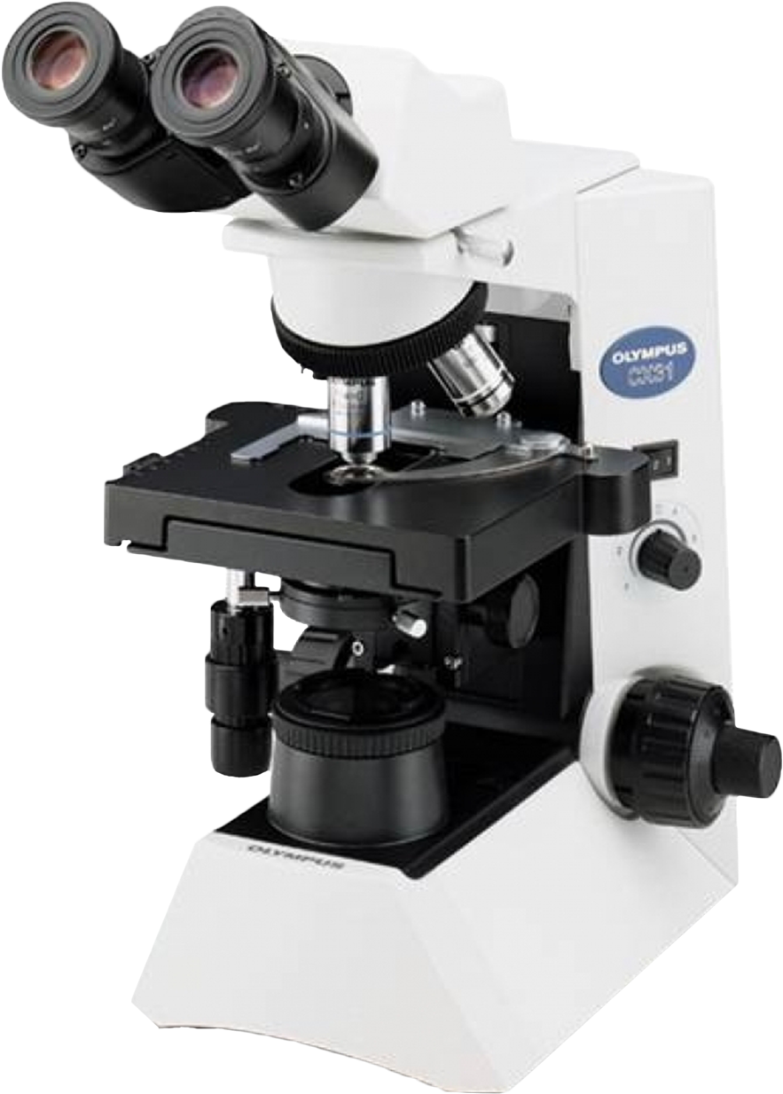 Olympus Cx31 Upright Biological Microscope - Olympus Cx23 Microscope (1200x1382), Png Download