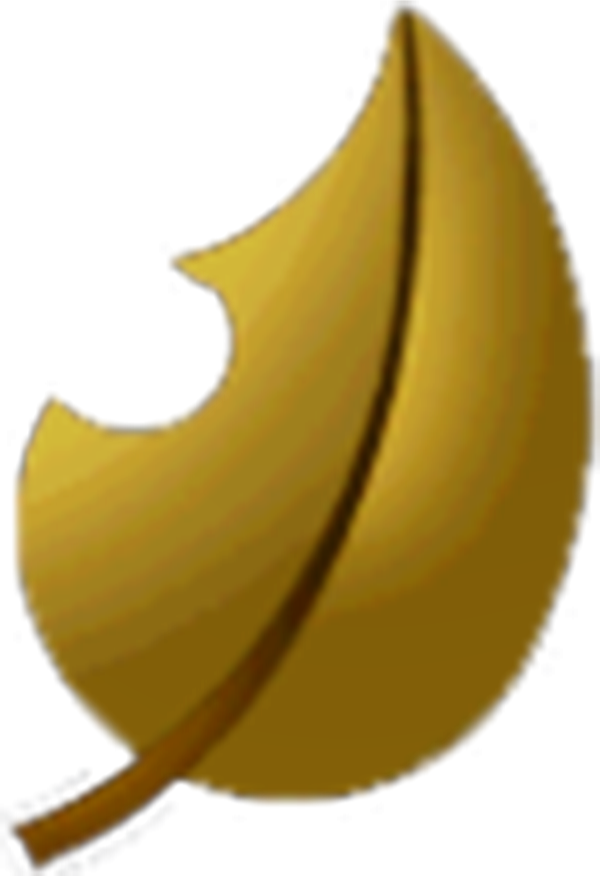 File History - Mario Kart Wii Leaf Cup (600x876), Png Download