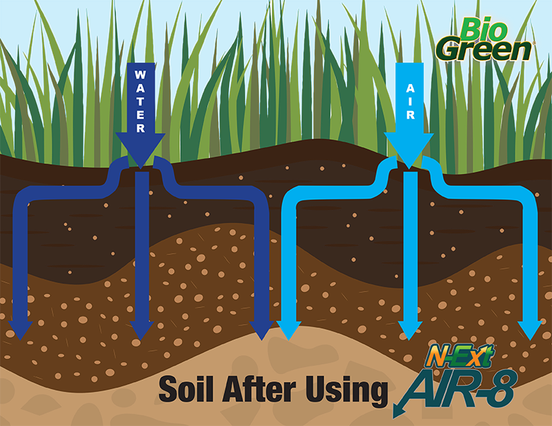 Lawn Aeration - Lawn Aeration Graphic (800x618), Png Download