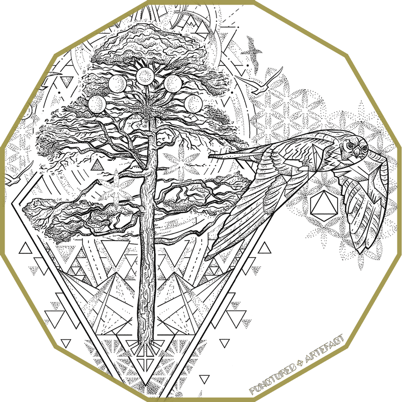 Soc3 8 Wb - Erbeskopf (800x800), Png Download