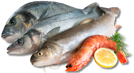 We Also Offer Complimentary Fish Frying At All Of Our - Fish And Seafood Png (532x291), Png Download
