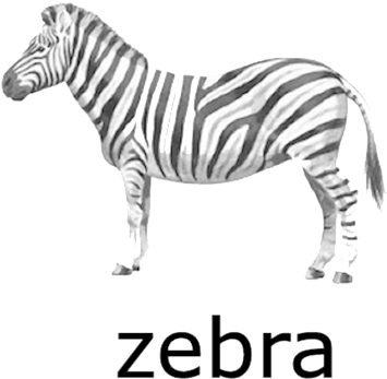 Zebra Transparent - Zebra For Flash Cards (500x375), Png Download