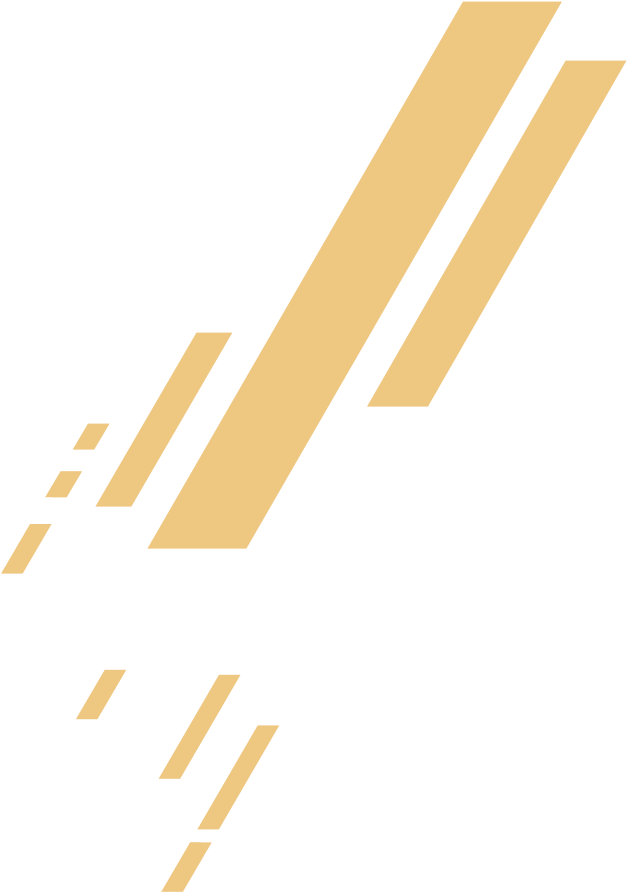658 × (658x919), Png Download